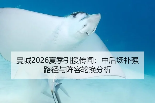 曼城2026夏季引援传闻：中后场补强路径与阵容轮换分析